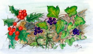 Ivy, Holly ve Fındık Log (kağıt üzerinde wc) by Nell Hill